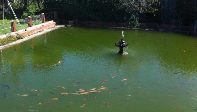 Campestre Sierra Viva 호텔 Zacatlán 외부 사진